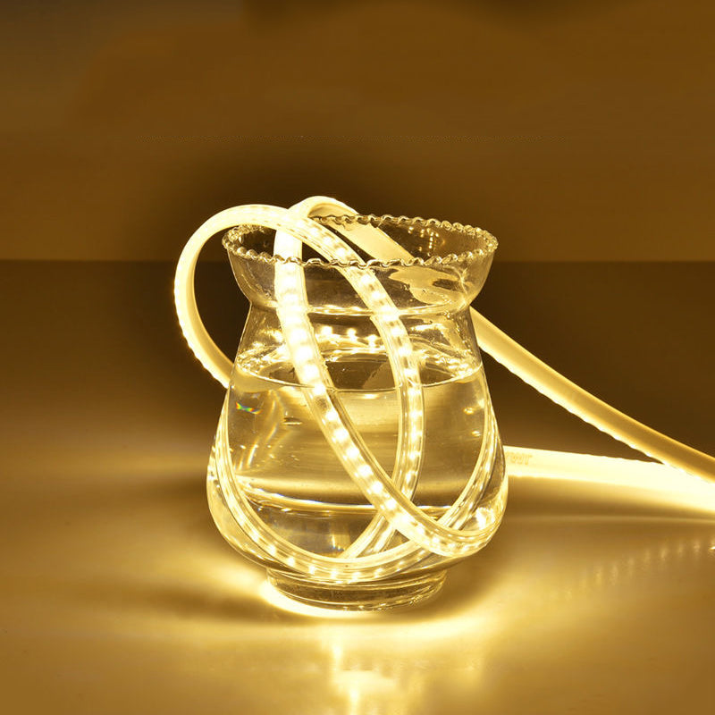 LED traka 5/10m 1+1 GRATIS